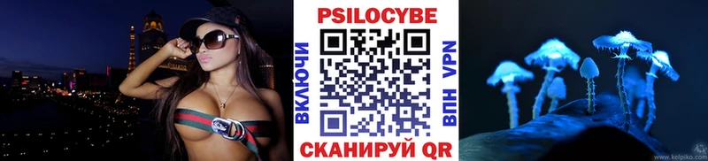 Купить закладки  Новый Уренгой  Галлюциногенные грибы Psilocybine cubensis 